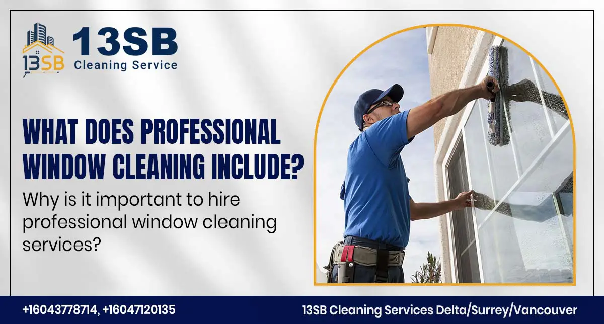 professional window cleaning services
