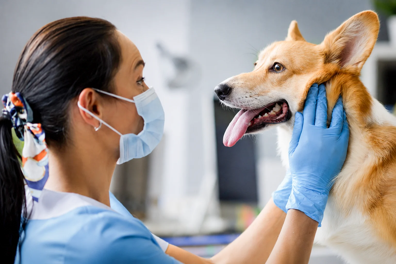 Specialized Care