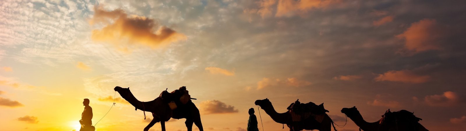 Rajasthan and Gujarat Holidays