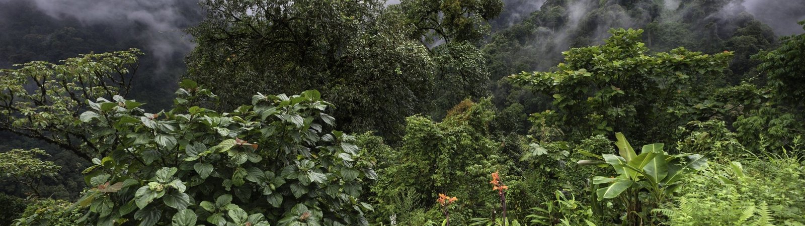 Eastern India Holidays