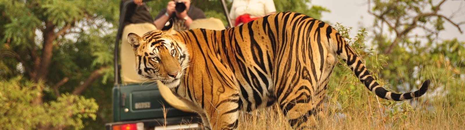 Central India Holidays