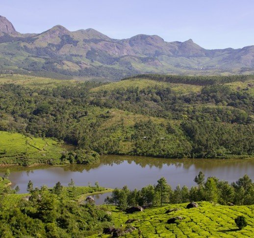 Tropical Kerala