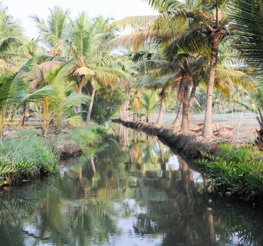 Kerala Backwaters and Beaches