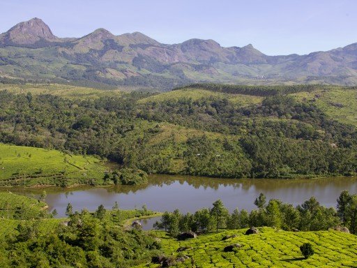 Tropical Kerala