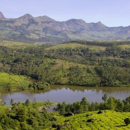 Tropical Kerala