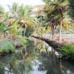 Kerala Backwaters and Beaches