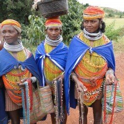 Odisha Culture and Tribal tour 